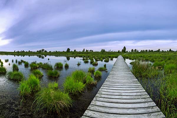 Hautes Fagnes